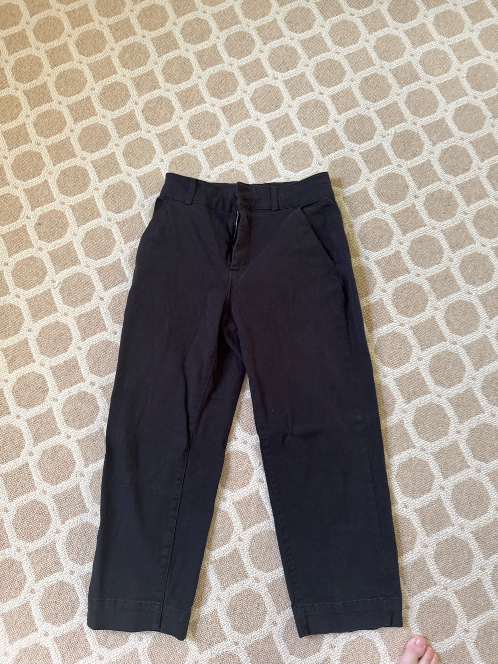 Everlane black utility barrel pants
